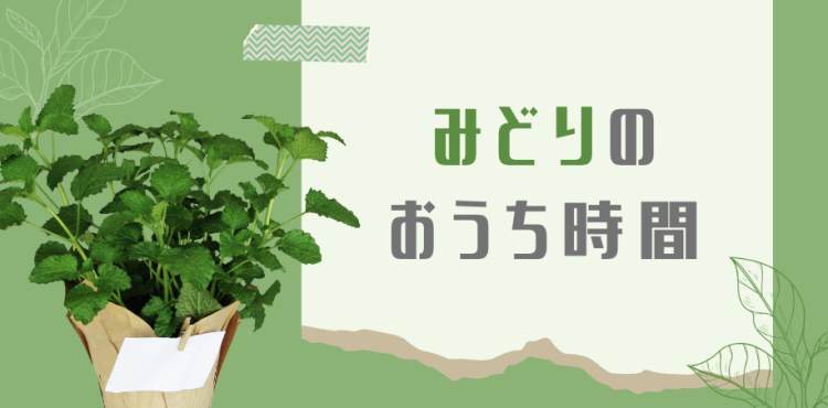 みどりのおうち時間